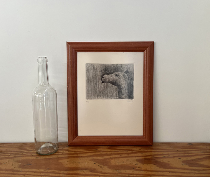 DROMEDARIO. Grabado (29x35)